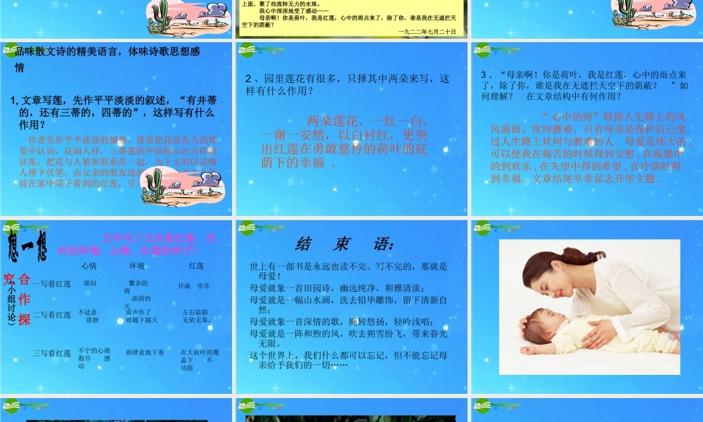 七年级语文上册 第五单元第24课(荷叶 母亲)课件 人教新课标版 课件