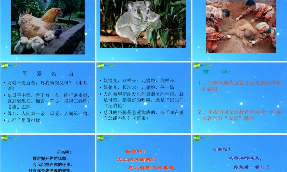 七年级语文上册 第五单元第24课(荷叶 母亲)课件 人教新课标版 课件