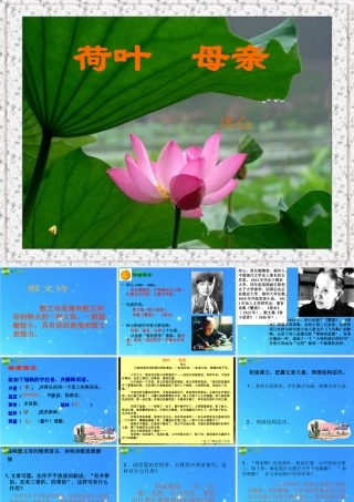 七年级语文上册 第五单元第24课(荷叶 母亲)课件 人教新课标版 课件