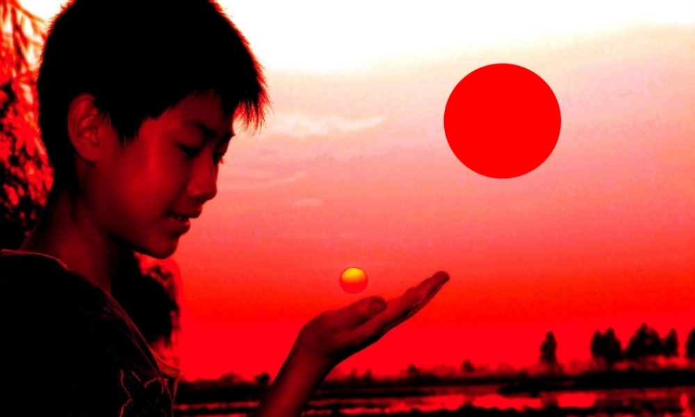 圆的面积教学课件