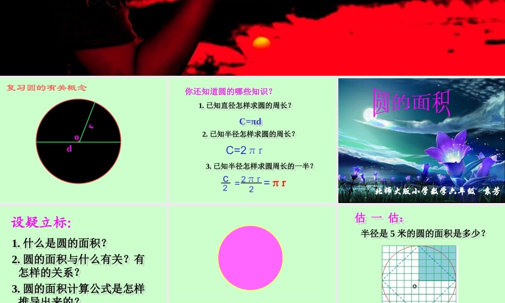 圆的面积教学课件