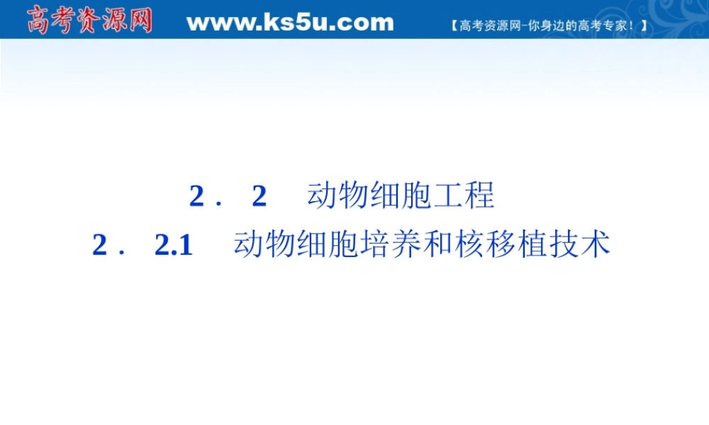 动物细胞培养和核移植技术人教版选修