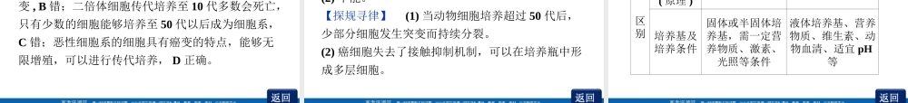 动物细胞培养和核移植技术人教版选修