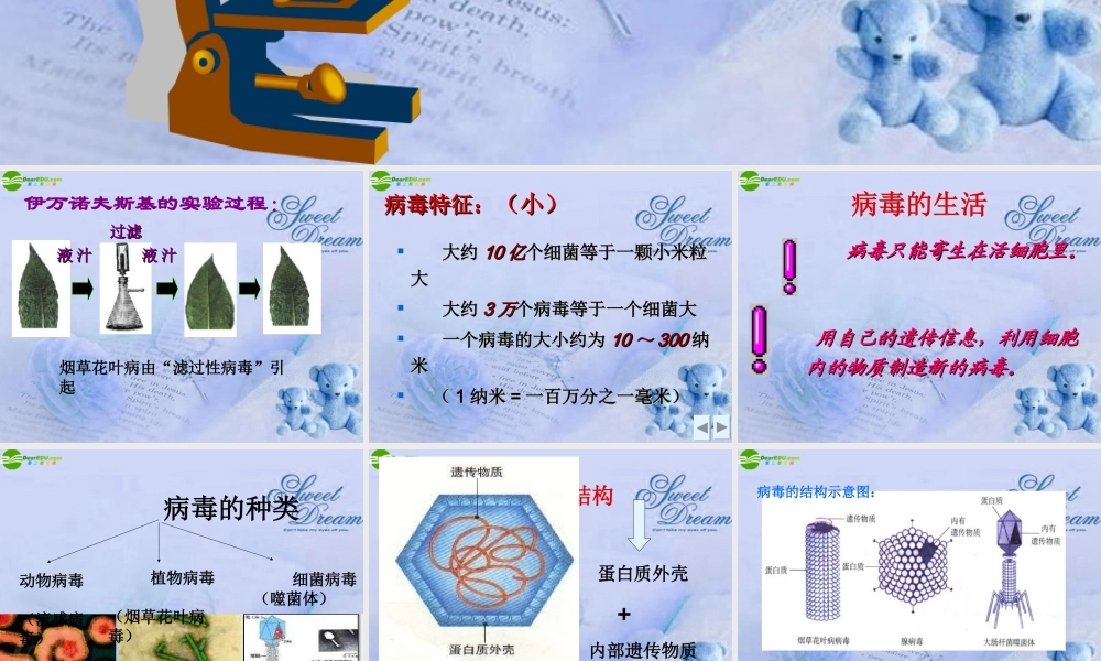 七年级生物上册 第四章病毒课件 人教新课标版 课件