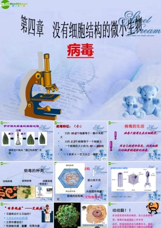 七年级生物上册 第四章病毒课件 人教新课标版 课件