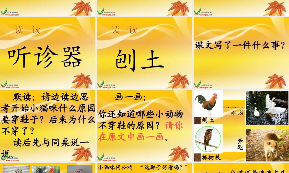 《小猫咪穿鞋子》徐萍萍