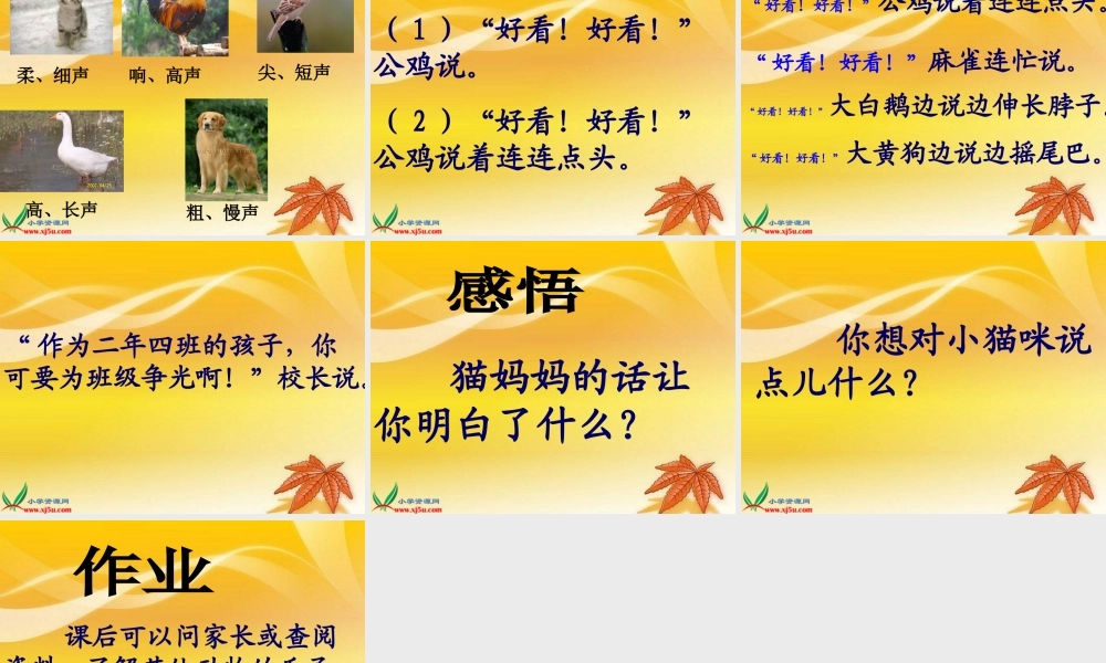 《小猫咪穿鞋子》徐萍萍