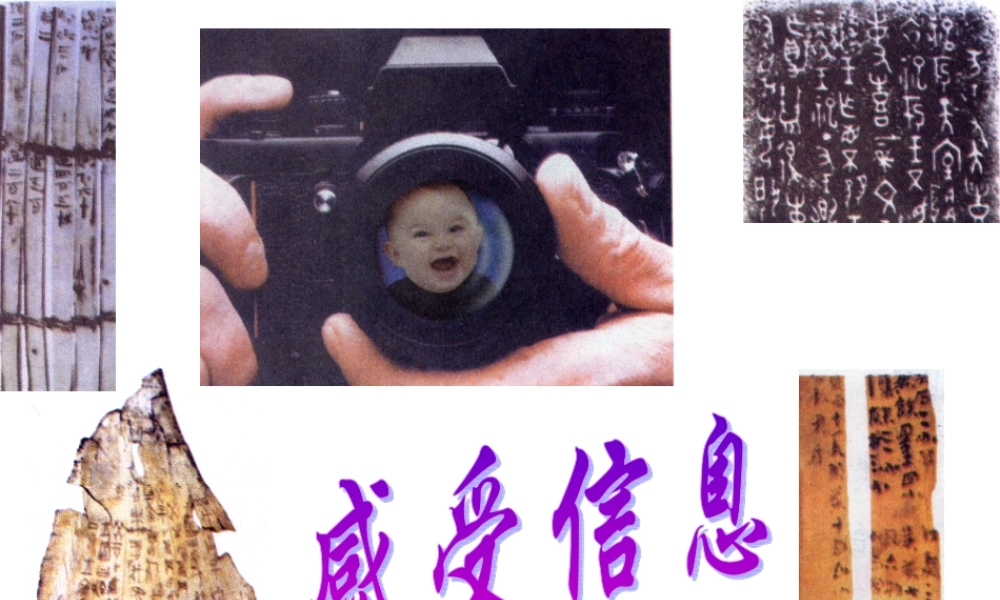 感受信息课件
