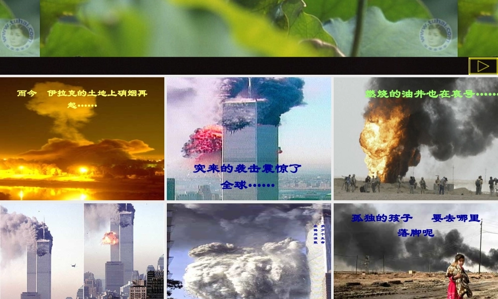 人教版小学语文第八册《一个中国孩子的呼声》