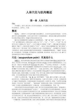人体穴位与肌肉概述