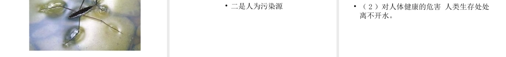 山西地区八年级生物第一节水中生活的动物课件 新课标 人教版 课件