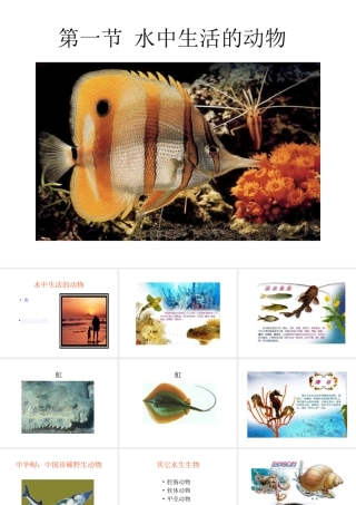 山西地区八年级生物第一节水中生活的动物课件 新课标 人教版 课件