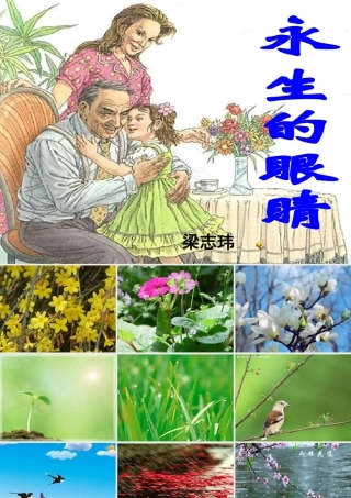 永生的眼睛-PPT课件2