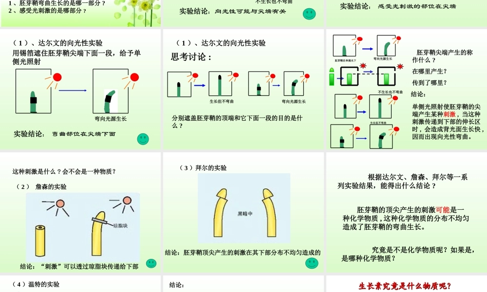 植物生长素的发现
