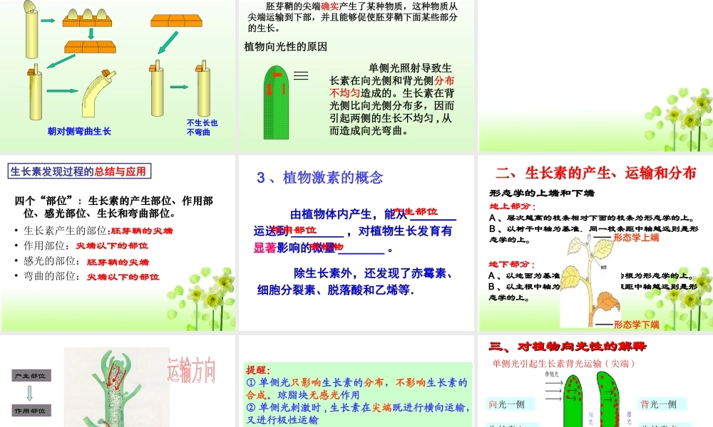 植物生长素的发现