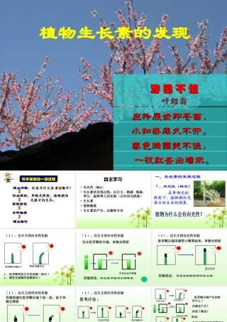 植物生长素的发现