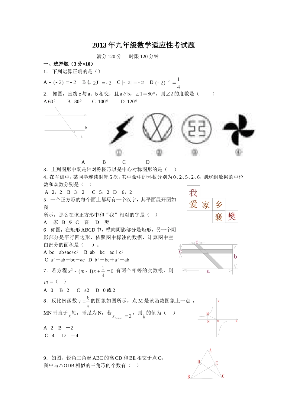 2013年九年级数学适应性考试题_第1页