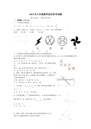 2013年九年级数学适应性考试题
