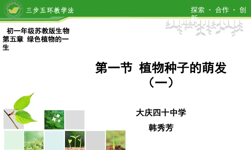 植物种子的萌发 (3)