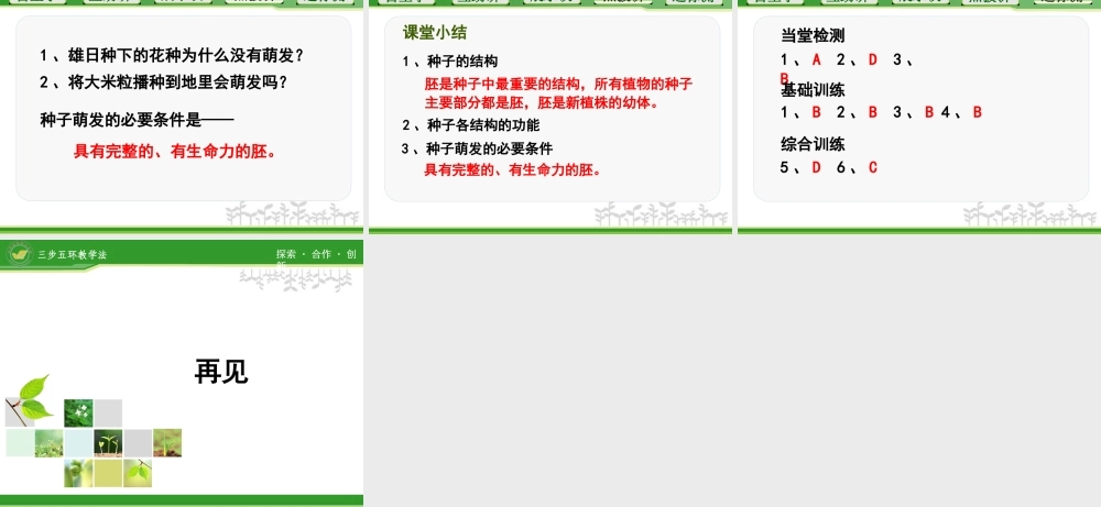 植物种子的萌发 (3)