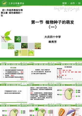 植物种子的萌发 (3)