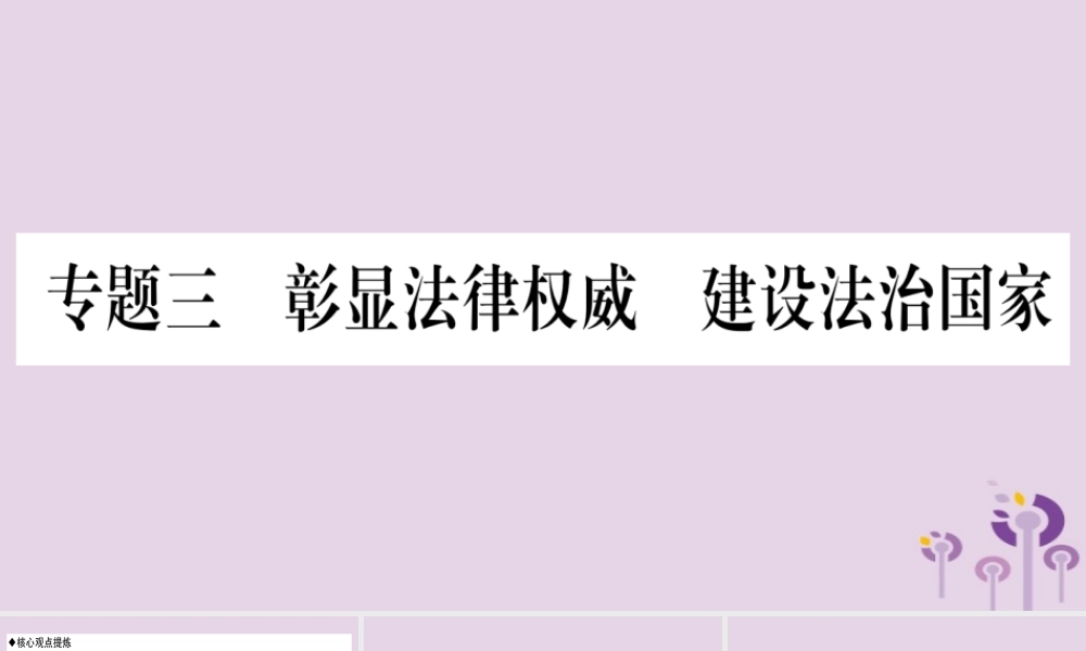 宁夏中考道德与法治考点复习 第三篇 热点透视 天下纵横 专题三 彰显法律权威 建设法制国家课件