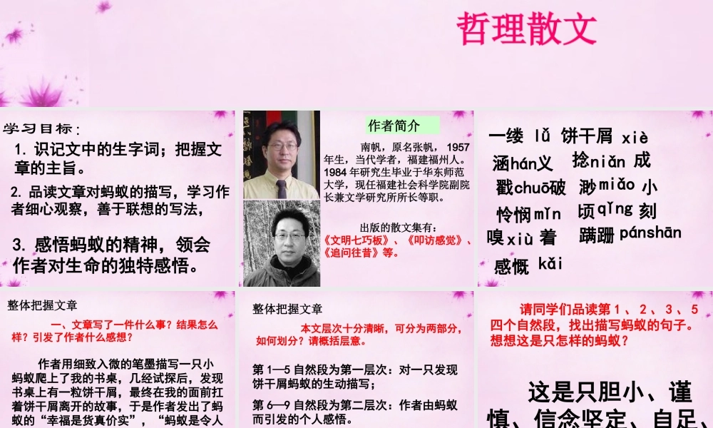 八年级语文上册 4(蚂蚁)教学课件 北师大版 课件