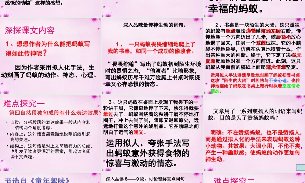 八年级语文上册 4(蚂蚁)教学课件 北师大版 课件