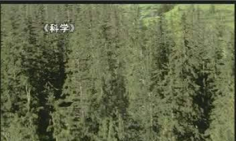 我看到了什么PPT课件