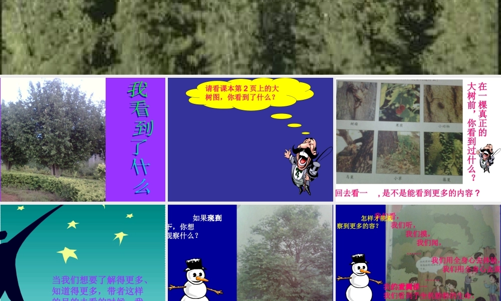 我看到了什么PPT课件