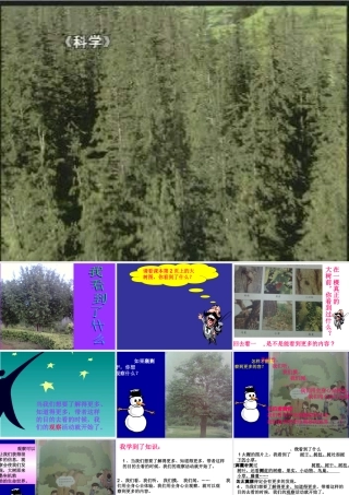 我看到了什么PPT课件