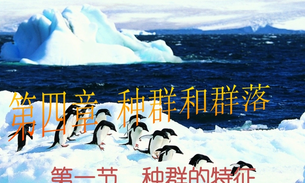 种群的特征，2015330