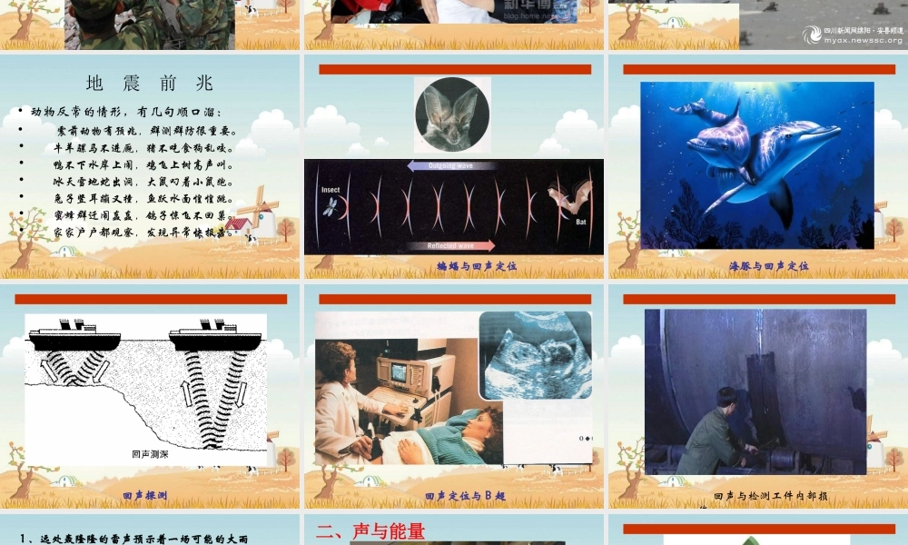 新人教《23声的利用》课件2