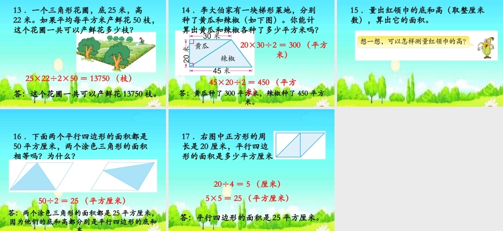 多面积复习课教学课件