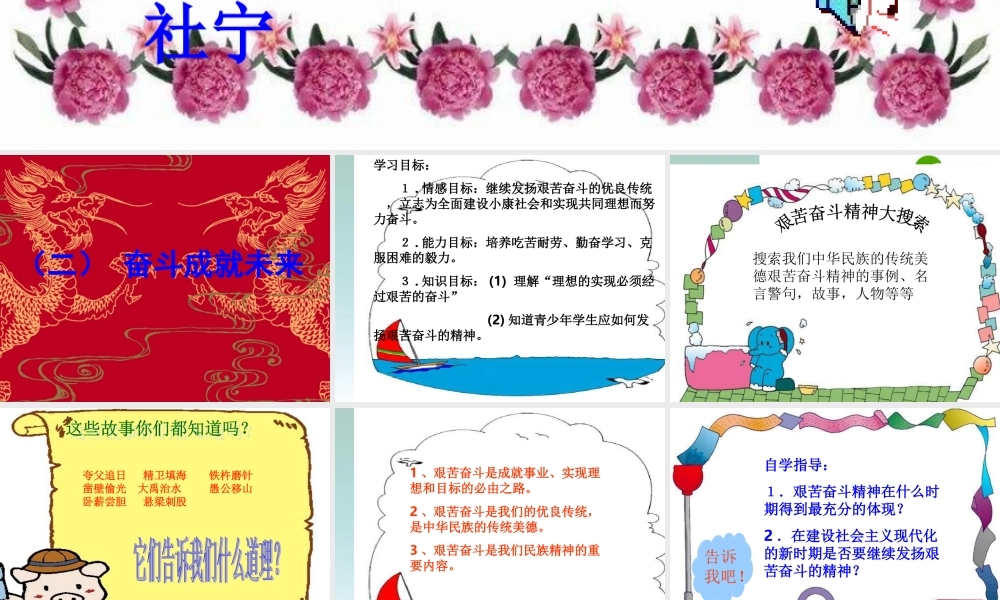 九年级政治 共同描绘美好未来课件 鲁教版 课件