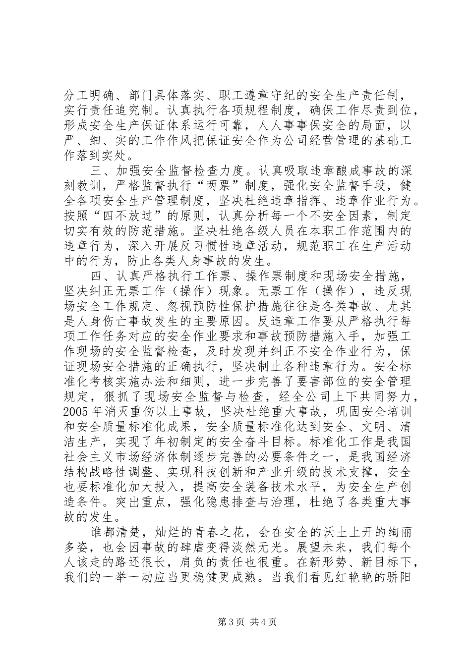 安全标准化演讲稿_第3页