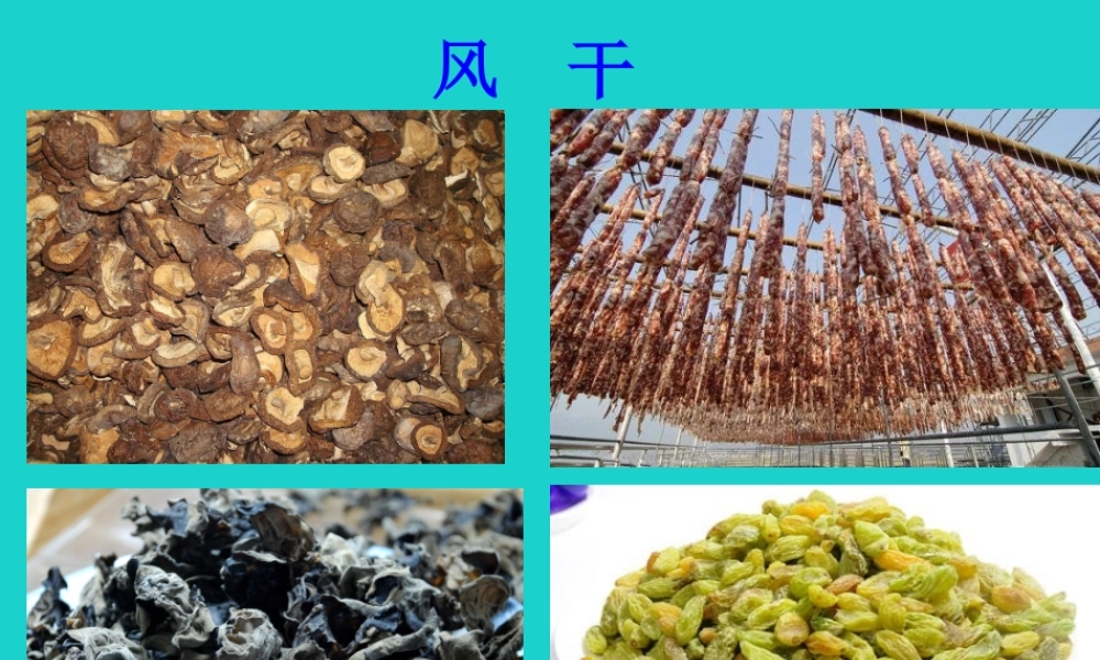 八年级生物上册 第五单元 第三章 第二节 食品保存技术 传统的食品保存方法课件 冀少版 课件