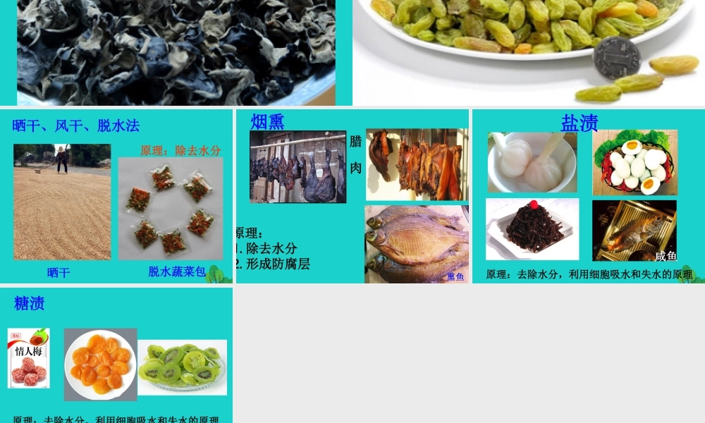 八年级生物上册 第五单元 第三章 第二节 食品保存技术 传统的食品保存方法课件 冀少版 课件