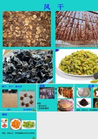 八年级生物上册 第五单元 第三章 第二节 食品保存技术 传统的食品保存方法课件 冀少版 课件