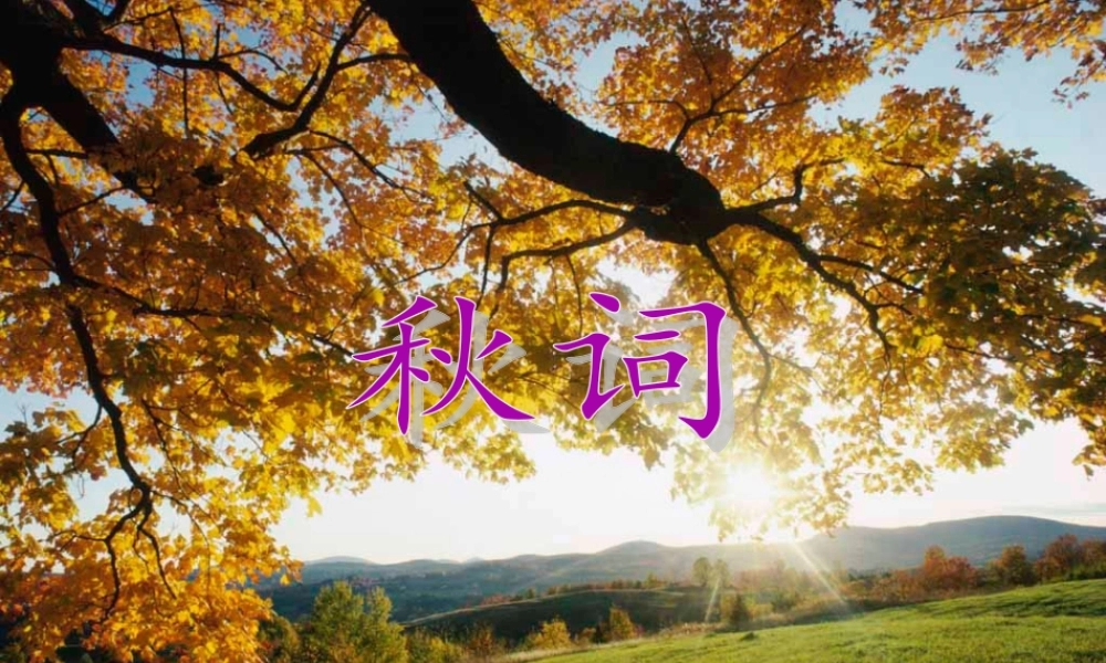 秋词(其一)-(2)