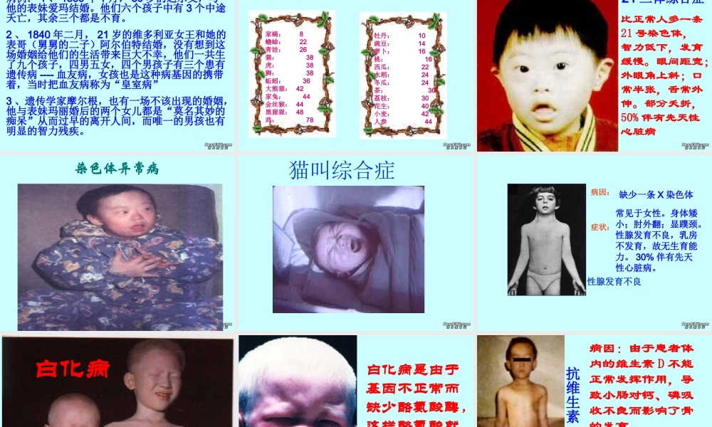 基因的显性和隐性八年级生物课件示例 课件