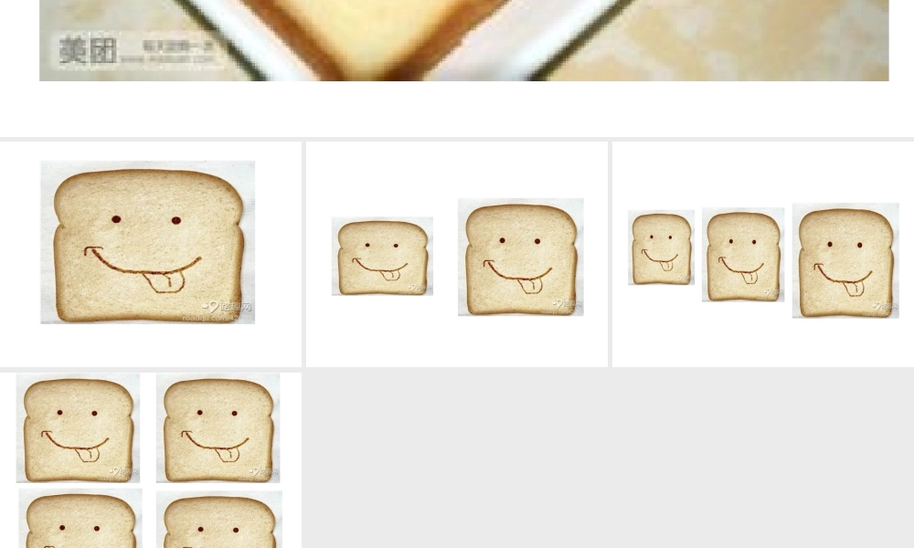 科学《方方的面包片》