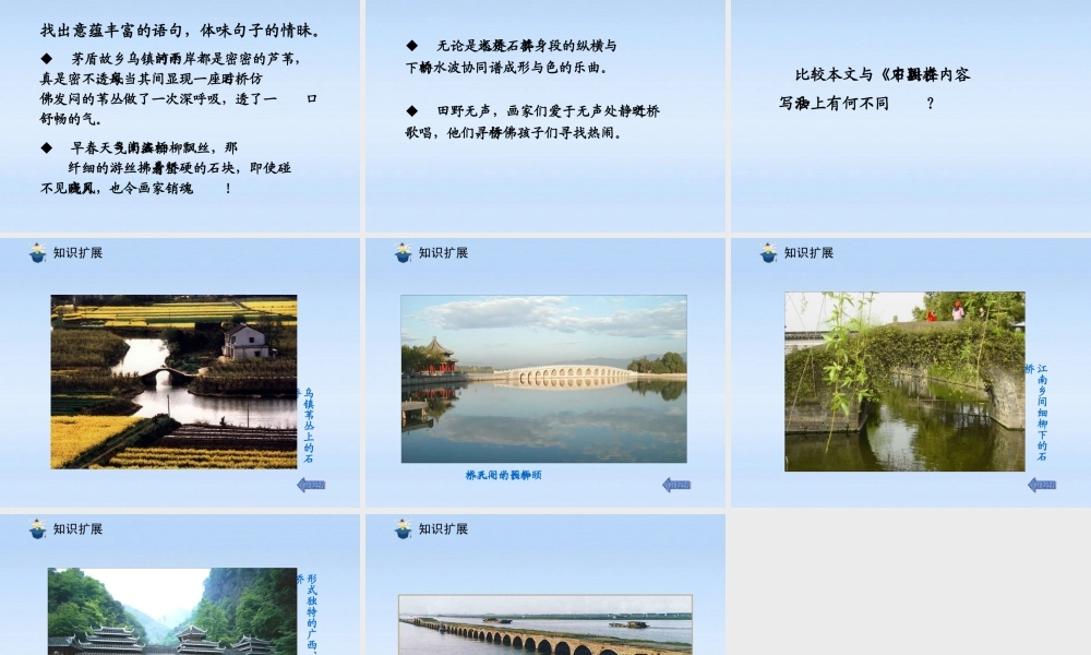 八年级语文上册 第12课桥之美1课件 人教新课标版 课件