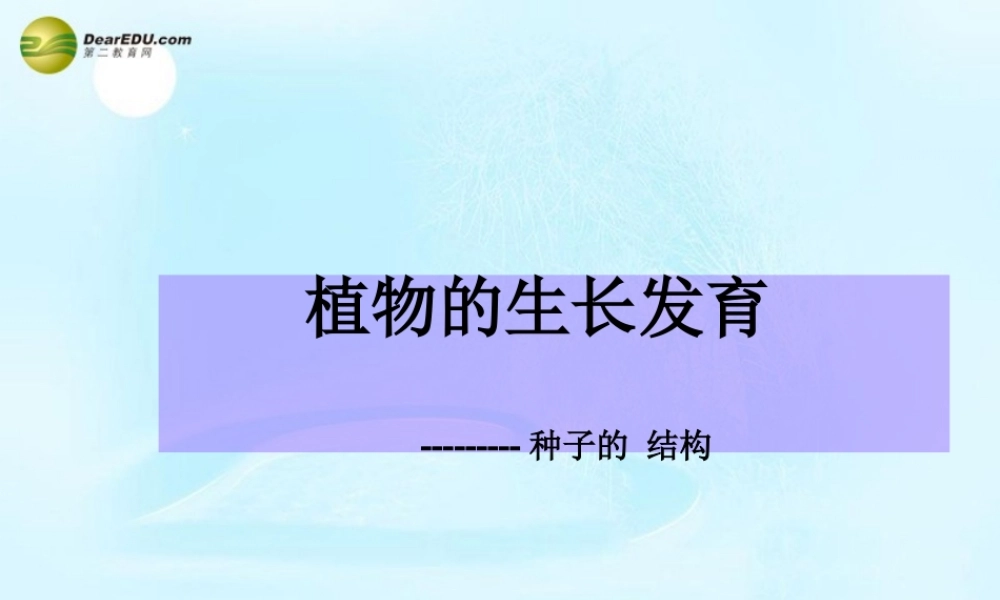 八年级生物上册  植物的生长发育课件 苏科版 课件