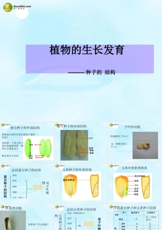 八年级生物上册  植物的生长发育课件 苏科版 课件
