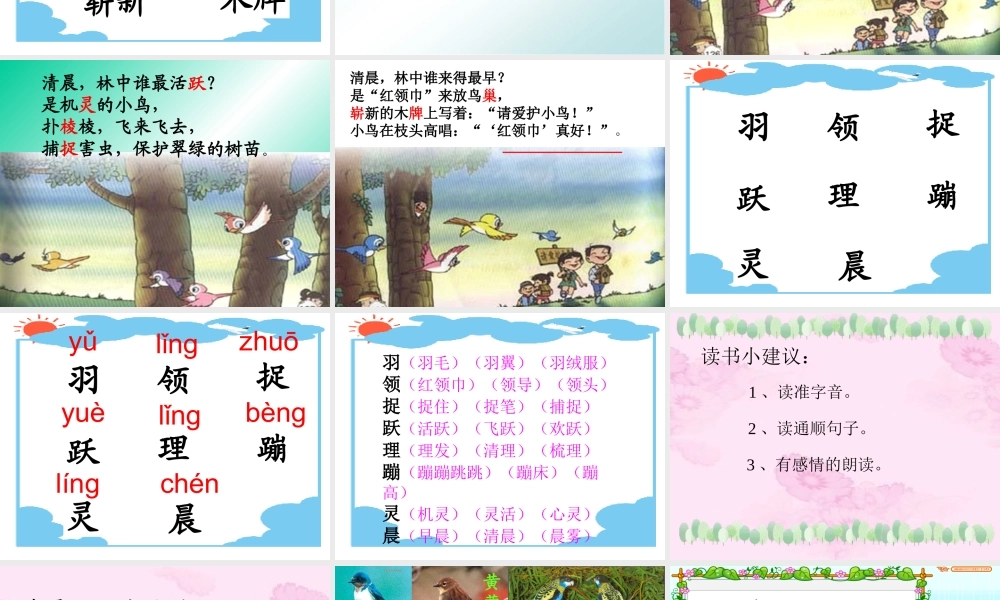 小学二年级语文上册课件-红领巾真好