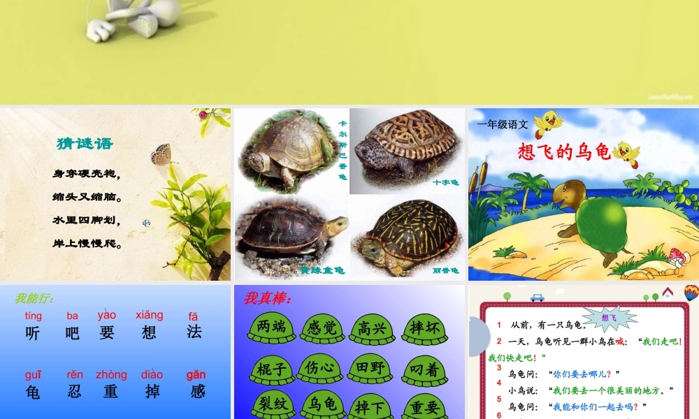 《想飞的乌龟》课件