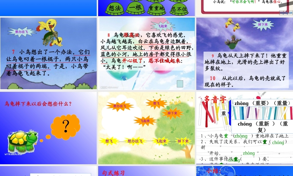 《想飞的乌龟》课件