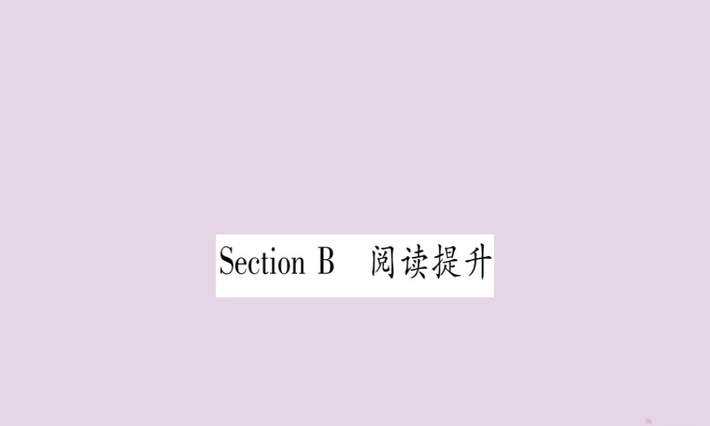 九年级英语全册 Unit 2 I think that mooncakes are delicious Section B作业课件 (新版)人教新目标版 课件