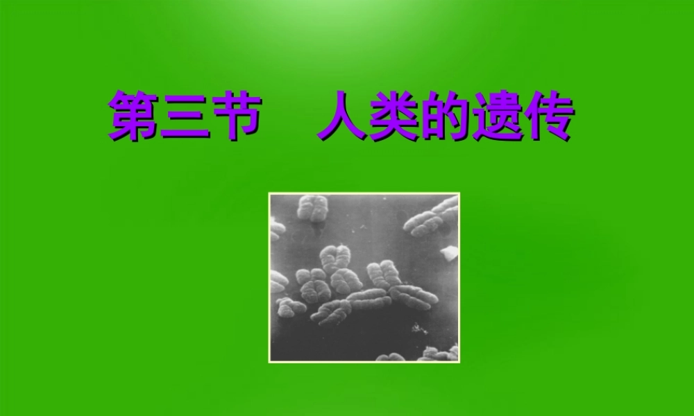 八年级生物上册 第三节人类的遗传课件